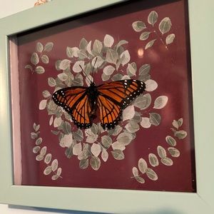 Taxidermy Victory Butterfly - “Empress’s Love”